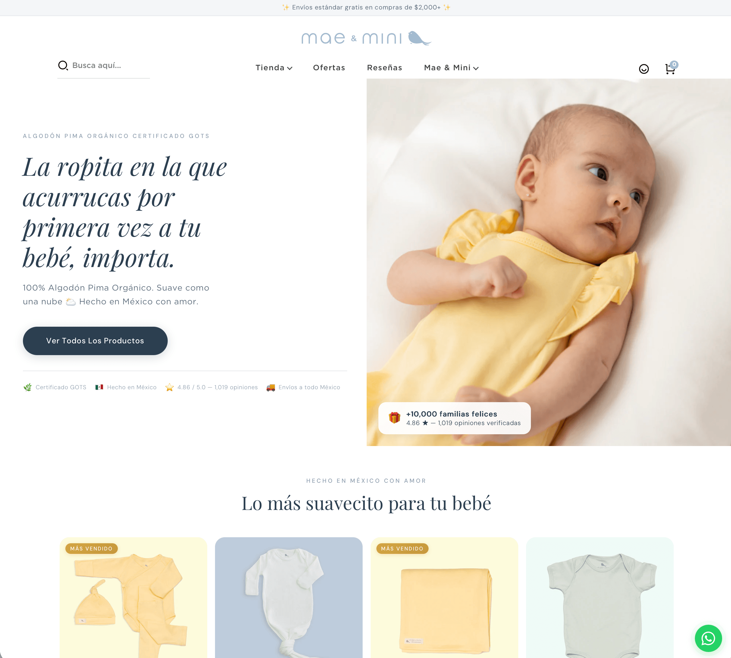 Website - Mae & Mini